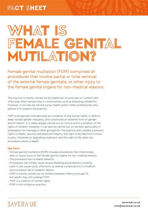 fgmnx|fgmnx fact sheet.